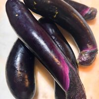 アボカド,茄子,八角,ゴールドキーウィ,ハッカク(八角)の画像