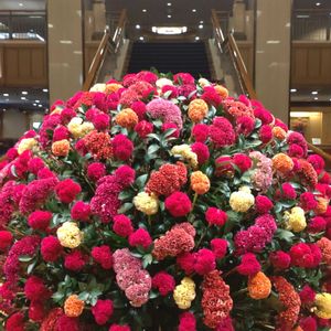 鶏冠,ディスプレイ,装花,帝国ホテル,ロビーの画像