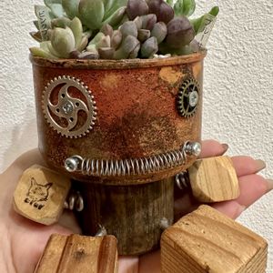 多肉植物の寄植え,ブルーサファイア,お迎え多肉たち,ピンクジェニー,多肉植物の画像