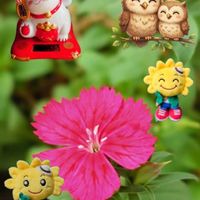 ナデシコ,いつも笑顔で〜〜♡,幸せを呼ぶフクロウ祭り,明日も笑顔で♡,フクロウ祭りの画像