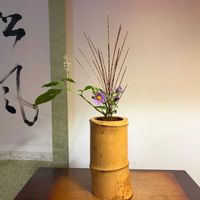 ススキ,トリカブト,ユウゼンギク,ヨウシュヤマゴボウ,メギ(目木)の画像