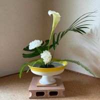 カーネーション,モンステラ,シダ,アレカヤシ,生け花の画像