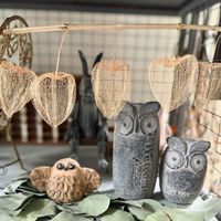 姫モンステラ,姫モンステラ,ホウズキ,ホウズキ,ユーカリポポラスの葉の画像