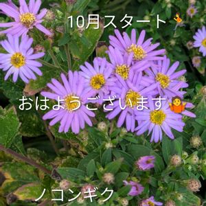 ナス,ピーマン,コラージュ,高校野球,番外編☆の画像