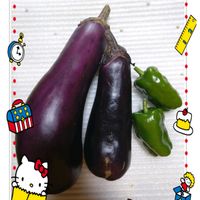 ピーマン,茄子,プランター栽培,茄子の栽培,ピーマンの栽培の画像
