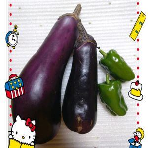 ピーマン,茄子,プランター栽培,茄子の栽培,ピーマンの栽培の画像