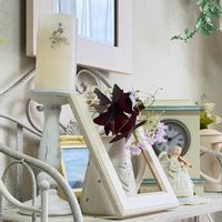 オキザリス・トリアングラリス（紫の舞）,花言葉,花のある暮らし,誕生花,GS映えの画像