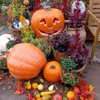 乙女心,黄色,ハロウィン,心を込めて♡,キュンキュン乙女倶楽部の画像