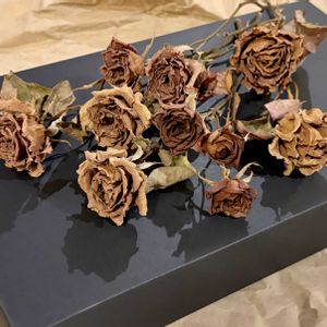 ジュリア,薔薇 ジュリア,ドライフラワー,ドライフラワーアレンジ,植物標本の画像