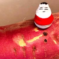 さつまいも,困ったな,どうしましょ^^;の画像