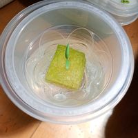ミニトマト,水耕栽培,時期外れの画像