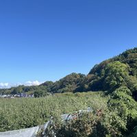 リンゴ,金沢市,石川県,チーム石川の画像