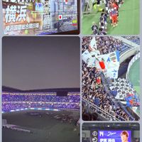 アスター,スパティフィラム,観葉植物,観葉植物のある暮らし,日本代表⚽️頑張れの画像