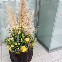 ジニア,トルコキキョウ,パンパスグラス,観賞用カボチャ,秋の花の画像