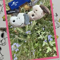 ローズマリー,ほしつながり,毎月2日はスヌーピーの日,たいせつななかま♡,ＧＳは笑顔で⭐️の画像