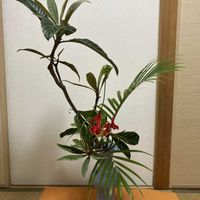 ビワ,グロリオサ,アレカヤシ,小原流,文人調いけばなの画像