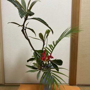 ビワ,グロリオサ,アレカヤシ,小原流,文人調いけばなの画像