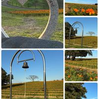 ワークショップ ,GSの繋がりに感謝♡,マリーゴールドの丘公園,マイ・カーサの画像