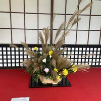 キク,スイレン,ススキ,キイチゴ, 彼岸花の画像