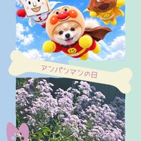 シオン,月兎耳,メキシコティアーズ,チムたん,繋がりに感謝♡の画像