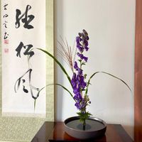 ケイトウ,トリカブト,リンゴ,小菊,タカノハススキの画像