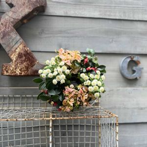 寄せ植え,リース,ガーデニング,今日の一枚,花のある暮らしの画像