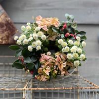 マトリカリア,チェッカーベリー,アルテルナンテラ ファニードレス,寄せ植え,リースの画像