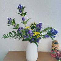 いけばな,生け花,玄関のいけばな,お家でいけばな,お家いけばなの画像