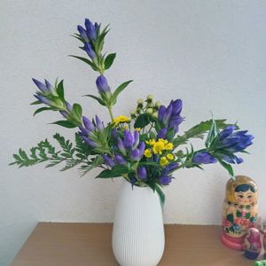 いけばな,生け花,玄関のいけばな,お家でいけばな,お家いけばなの画像