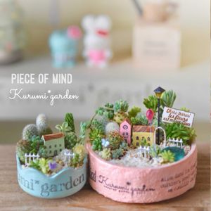 サボテン,サボテン,セダム寄せ,サボテン寄せ植え,多肉植物 寄せ植えの画像