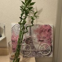 ミリオンバンブー,トイレ・洗面所の画像