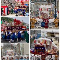 モミジ,今日の一枚,秋の風景,長崎くんち,お出かけ先の画像