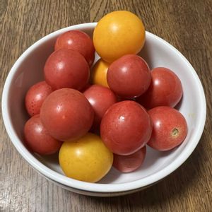ミニトマト,家庭菜園,ベランダ,庭の画像