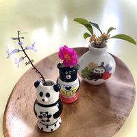 ポーチュラカ,金木犀,オリーブの実,プレストランサス エルンスティ,花のある暮らしの画像