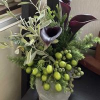 コニファー,ロシアンオリーブ,せんだんの実,カラー　キャプテンベレッタ,頂き物の画像