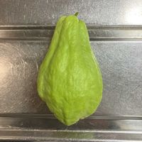 ハヤトウリの画像