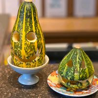 ススキ,フォックスフェイス,かぼちゃ,おでかけ先,ハロウィン月間の画像