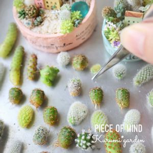 サボテン,サボテン寄せ植え,多肉植物 寄せ植え,ミニサボテン,箱庭の画像