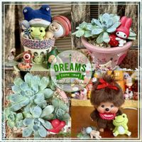 7cエケベリア,寄せ植え,かえるのピクルス,ムッチリぷくぷくの日,6日はカエルの日の画像