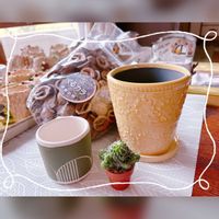 胡桃,リメ鉢, サボテン,いくとぴあ食花の画像