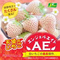 イチゴ,天使のいちご,カネコ種苗の画像