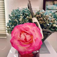 アガパンサス,バラ,ピーマン,パプリカ,秋の花の画像