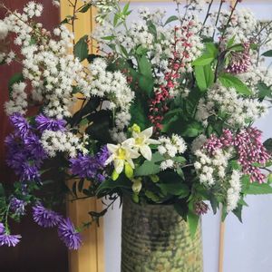 フジバカマ,秋明菊,ミズヒキ,ヤマホトトギス,宿根アスターの画像