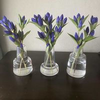 リンドウ,リンドウ,ホルムガード,ホルムガード フローラ,Holmegaard / Floraの画像