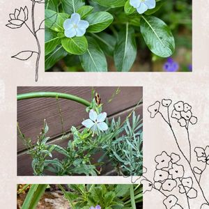 花のある暮らし,緑のある暮らし,GSに感謝。,平和を願う,いつも笑顔で〜〜♡の画像