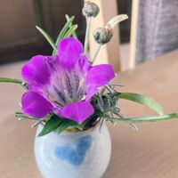 リンドウ,切り花を楽しむ,ミニ花瓶,キッチンの画像