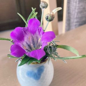 リンドウ,切り花を楽しむ,ミニ花瓶,キッチンの画像
