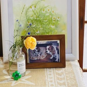 花のある暮らし,緑のある暮らし,GSに感謝。,平和を願う,いつも笑顔で〜〜♡の画像