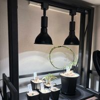 植物棚の画像