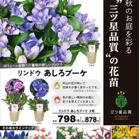 リンドウ,寄せ植え,花のある暮らし,PR,豊明花き株式会社の画像
